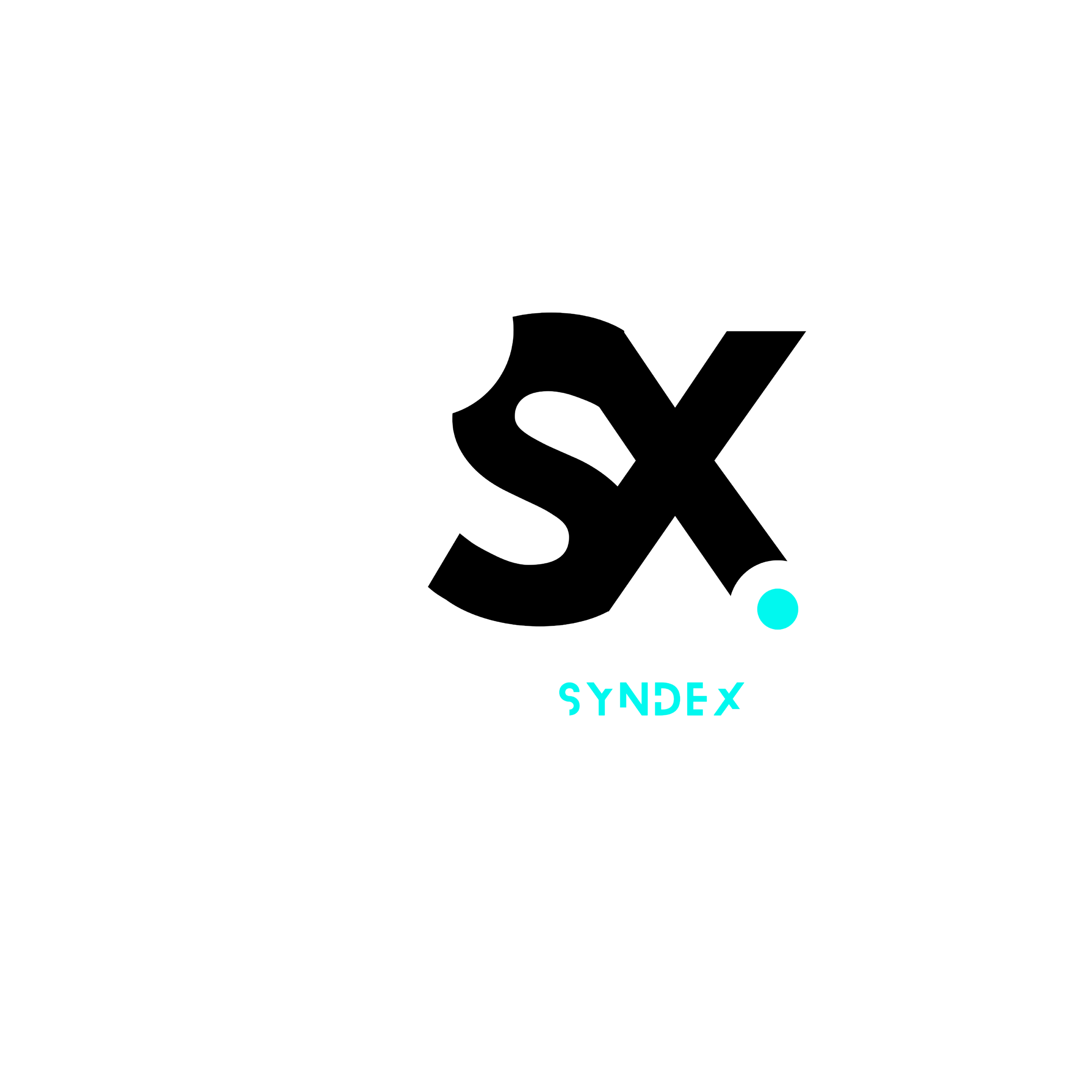 Syndex Logo